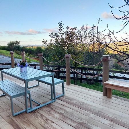 Vila Secluded, Private Rural Retreat Mins From Warkworth -"Avondale" Minihouse Exteriér fotografie